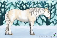 Horse Color:White Spotted Silver Amber Champagne Ice Dun 