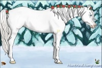 Horse Color:Cremello Splash Appaloosa Rabicano
