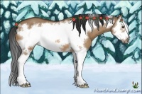 Horse Color:Bay Dun Splash Frame