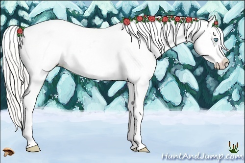 Horse Color:Cremello Sabino Tobiano Appaloosa