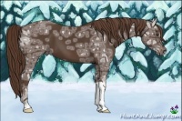 Horse Color:Liver Chestnut Ice 