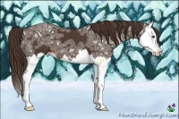 Horse Color:Liver Chestnut Ice Splash 
