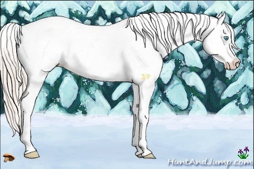 Horse Color:Chocolate Palomino Pearl Sabino Near Leopard Rabicano