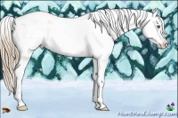Horse Color:Liver Chestnut Pearl Sabino Blanket Rabicano 