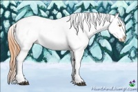 Horse Color:Buckskin Dun Tobiano Blanket 
