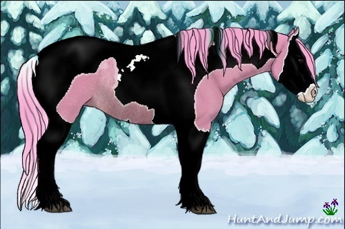 Horse Color:Watercolor Bay Splash Tobiano Rabicano 