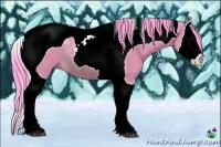 Horse Color:Watercolor Bay Splash Tobiano Rabicano 