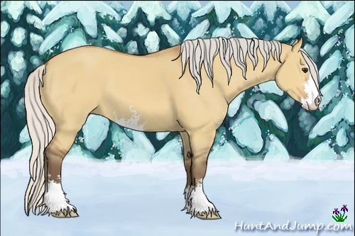 Horse Color:Silver Bay Dun Sabino