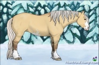 Horse Color:Silver Bay Dun Sabino 