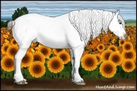 Horse Color:Liver Chestnut Appaloosa 