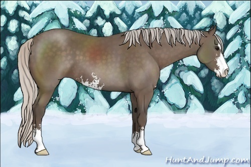 Horse Color:Silver Black Sabino 