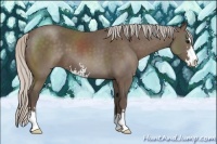 Horse Color:Silver Black Sabino 
