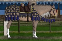 Horse Color:Silver Smoky Black 