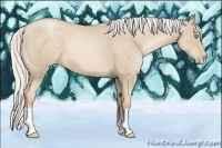 Horse Color:Silver Smoky Black Pearl