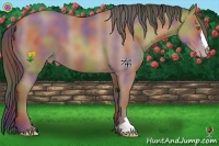 Horse Color:Nacre Sable Champagne 