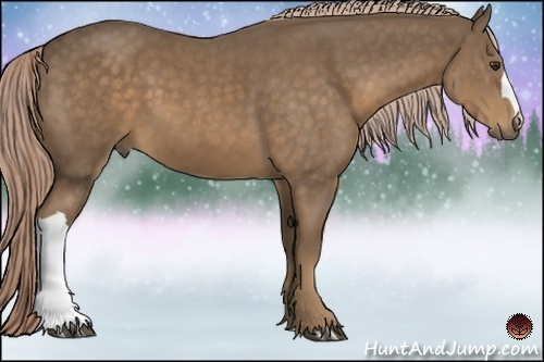 Horse Color:Chocolate Palomino 