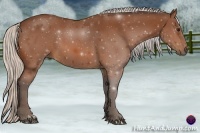 Horse Color:Silver Bay 