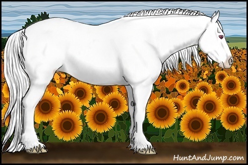 Horse Color:Sable Champagne Chinchilla Tobiano Appaloosa 