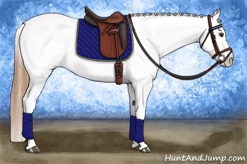 Horse Color:Chestnut Varnish 