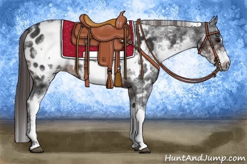 Horse Color:White Spotted Brown Frame Blanket