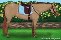 Horse Color:Red Dun