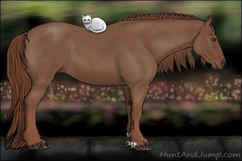 Horse Color:Red Roan