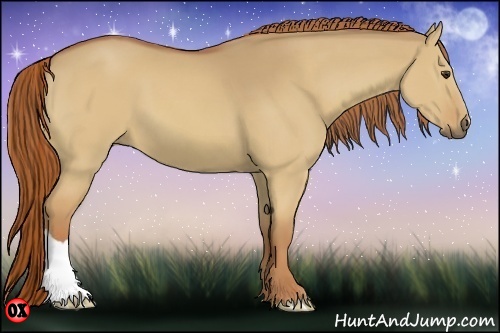 Horse Color:Red Dun