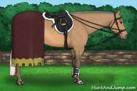 Horse Color:Silver Buckskin 