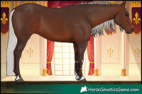 Horse Color:Silver Brown 