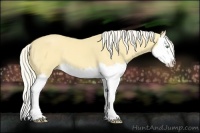 Horse Color:Gold Cream Champagne Splash 