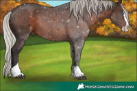 Horse Color:Silver Brown Splash Tobiano