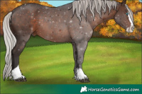 Horse Color:Silver Brown Splash Tobiano 