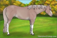 Horse Color:Watercolor Palomino 