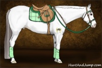 Horse Color:White Spotted Bay Appaloosa