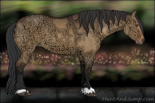 Horse Color:Bay Ice Dun 