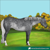 Horse Color:Silver Black Chinchilla