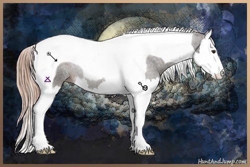 Horse Color:Liver Chestnut Sabino Splash Tobiano 