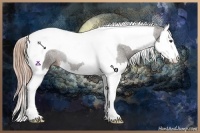 Horse Color:Liver Chestnut Sabino Splash Tobiano 