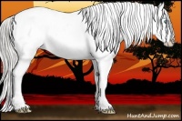 Horse Color:Chocolate Palomino Pearl Sabino Appaloosa