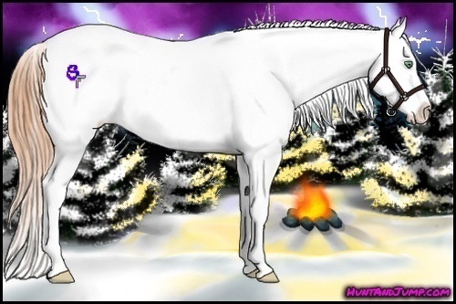 Horse Color:Amber Cream Champagne Ice Snowcap 