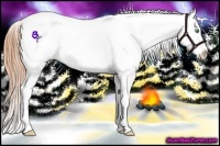 Horse Color:Amber Cream Champagne Ice Snowcap 