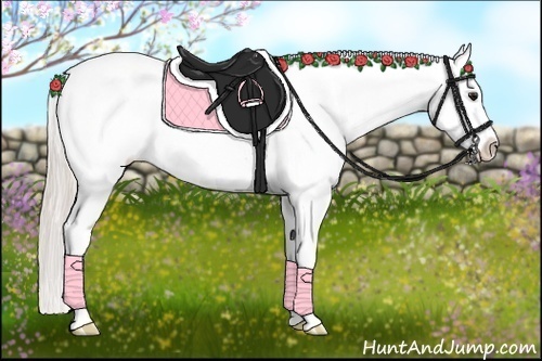 Horse Color:White Spotted Silver Brown Varnish