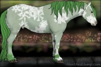 Horse Color:Watercolor Bay Ice 
