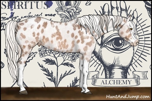 Horse Color:Silver Bay Ice Splash Appaloosa 