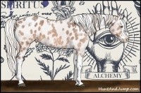 Horse Color:Silver Bay Ice Splash Appaloosa 