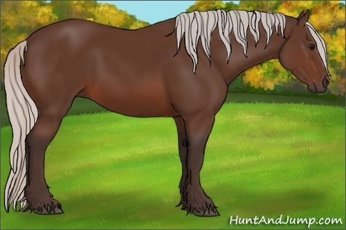 Horse Color:Silver Brown 
