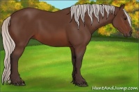 Horse Color:Silver Brown 