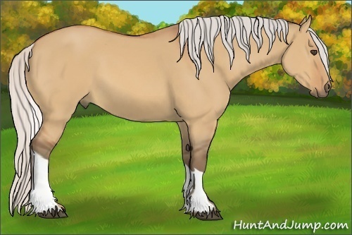 Horse Color:Silver Bay Dun Tobiano 