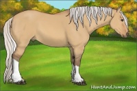 Horse Color:Silver Bay Dun Tobiano