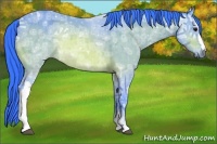 Horse Color:Watercolor Buckskin Ice 